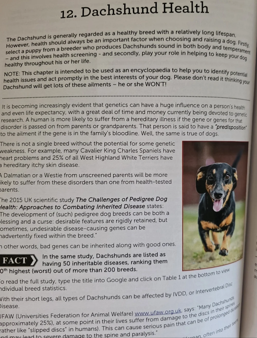 The Dachshund Handbook & Training Book